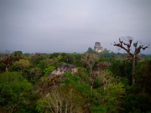 Mijn reistip voor Guatemala. Zonsopgang over de Maya ruines bij Tikal