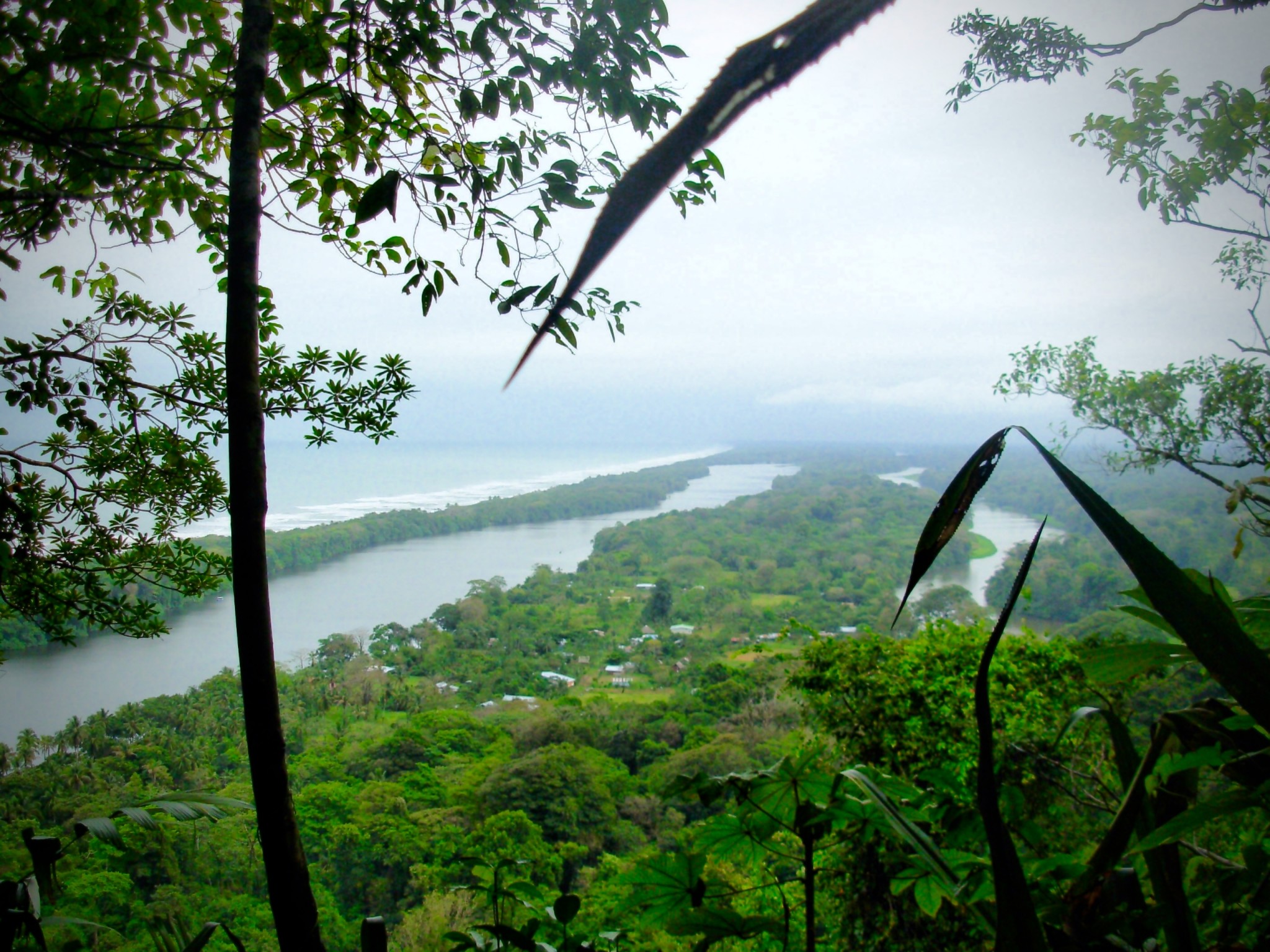 Uitzicht op de omgeving van Tortuguero in Costa Rica vanaf de hoogste berg. - reistips voor Costa Rica