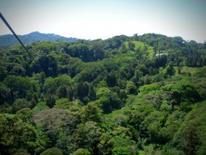 reistips voor Costa Rica Hoog boven de jungle in Monteverde voor de Canopy Tour. Tip voor reis naar Costa Rica!