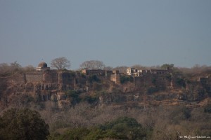 Jungle Book fort in Ranthambhore