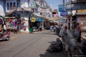 Wereldreis India- De straten van Pushkar