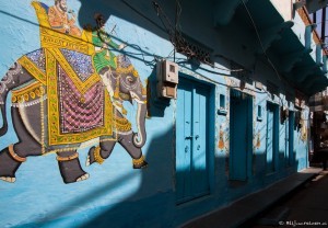 Olifanten muurschildering in Udaipur India